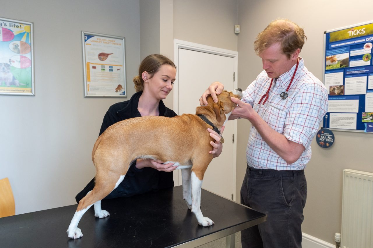 Client Information Donaldson's Vets